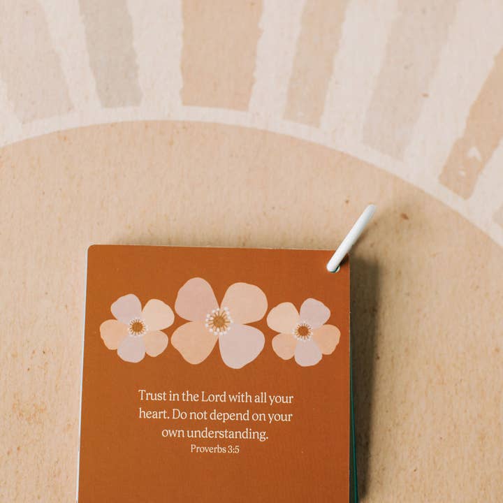 Tiny Theologians - Venta al por mayor Tarjetas de aprendizaje - Niños y bebés - Mis Primeros Versículos de la Biblia21