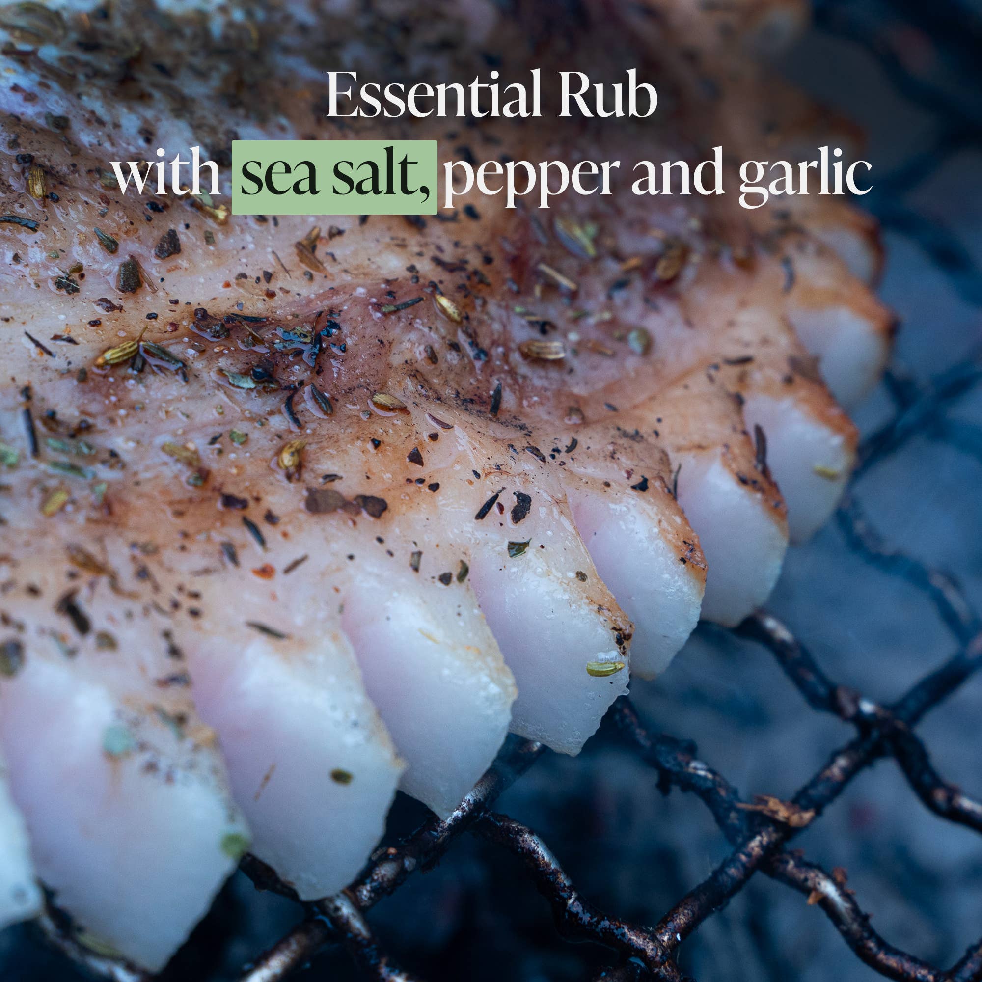 BBQ King - Venta al por mayor Condimentos - Mammamia Rub 70 g (2,46 oz)4