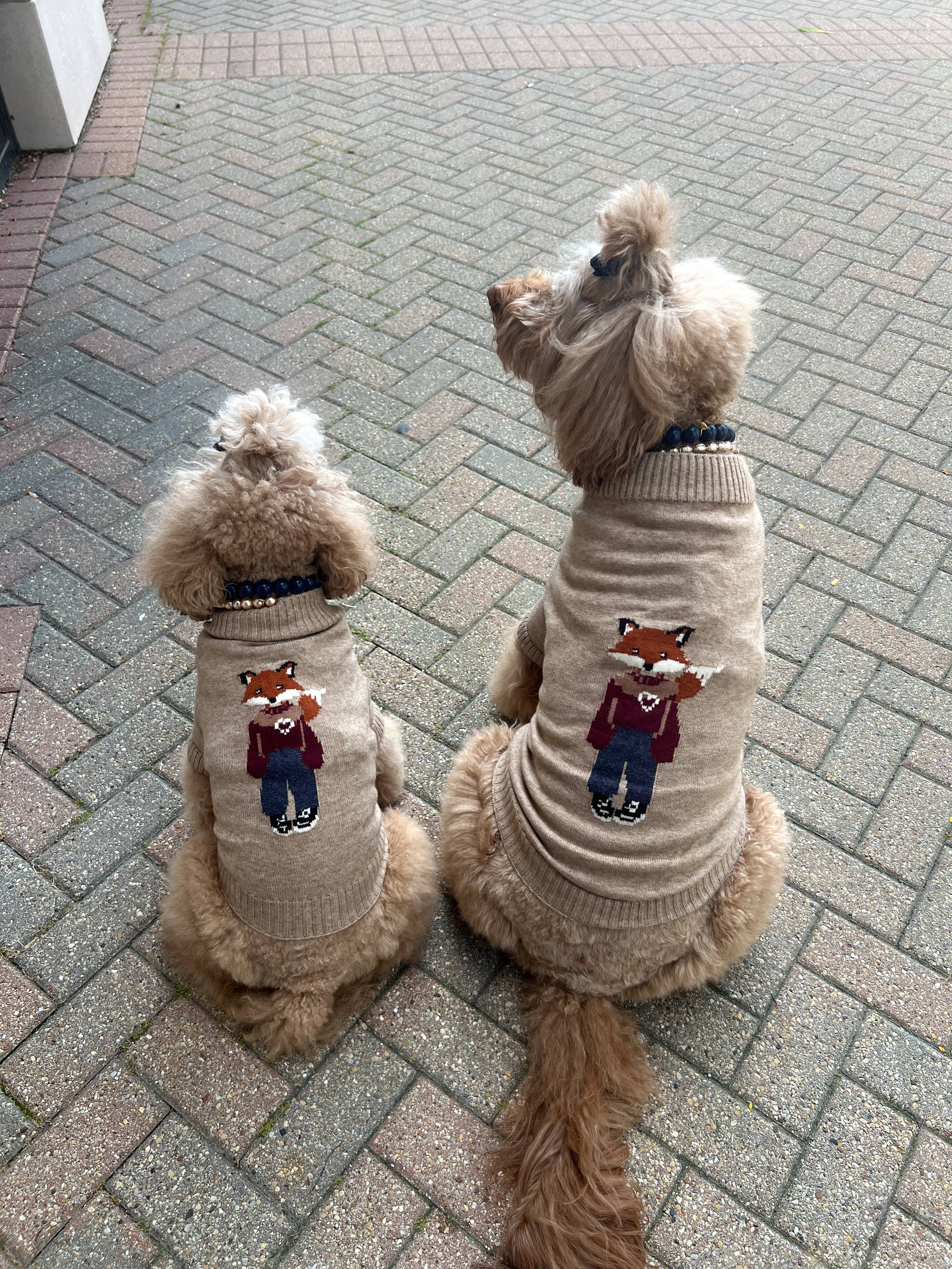 GIGI’S USA – wholesale Tröja - Hund – Foster Rävhundtröja5