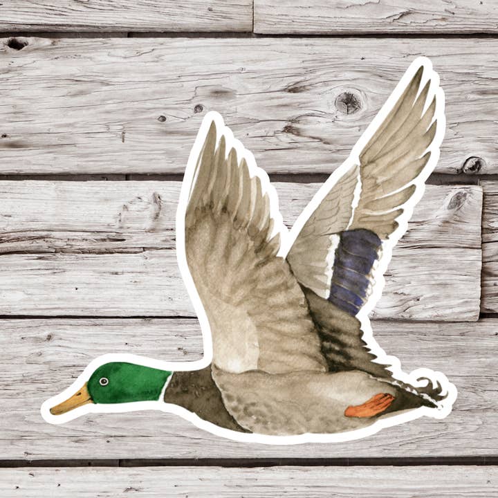 Mallard Duck Sticker, Duck Sticker, Bird Sticker for wholesale by NatureCuts