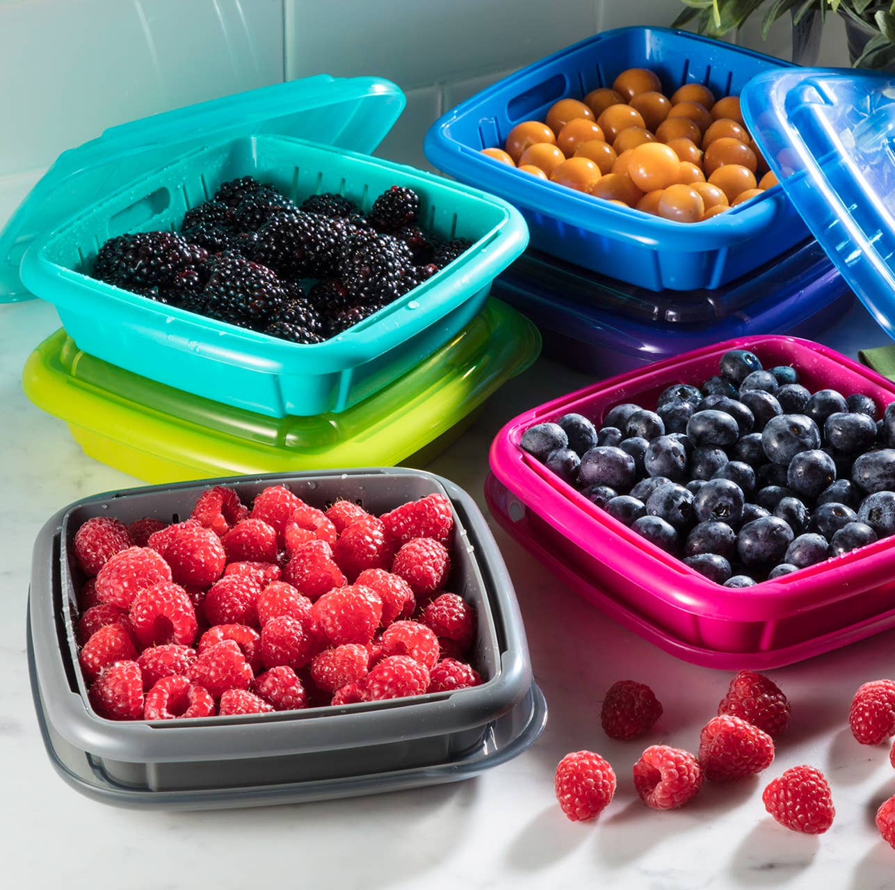 Gourmac - Wholesale Food Storage Container - Bitty Berry Box1