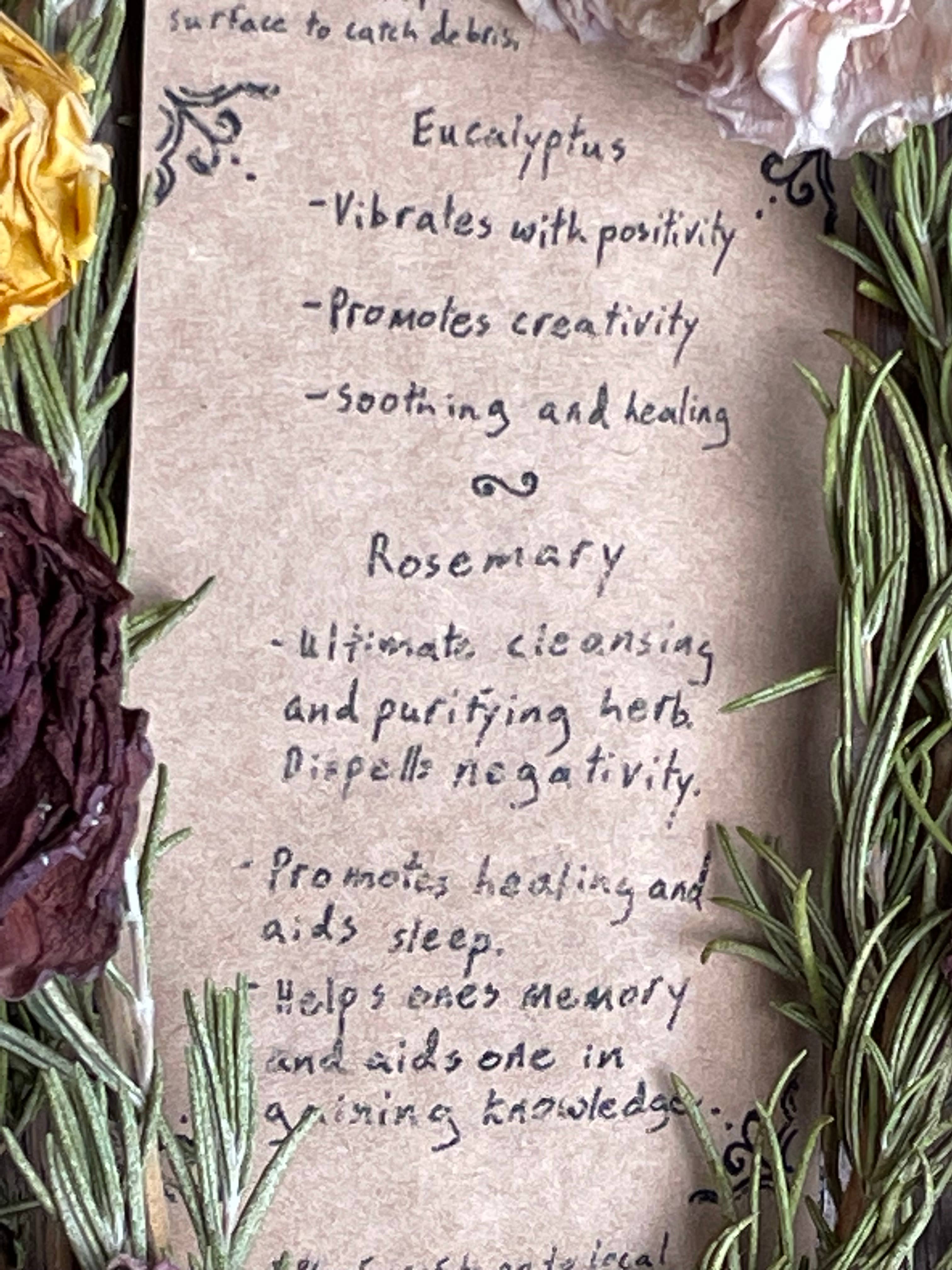 Necessary Magic - Wholesale Sage Bundle - Eucalyptus and Rosemary Herb Bundles3