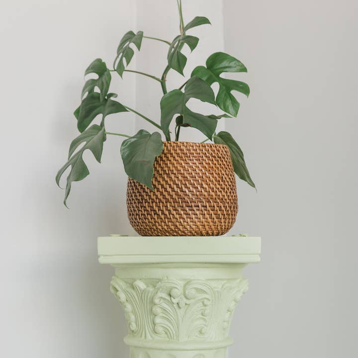 Viridi - Wholesale Plant Pot - Olla Rattan Planter Set of 24