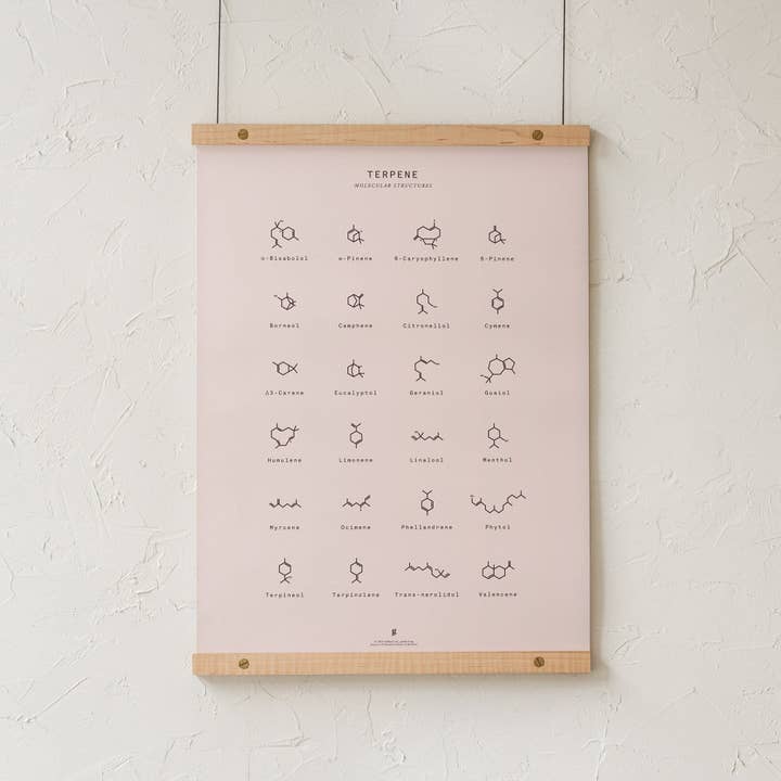 Goldleaf - Wholesale Art Print - Terpene Molecular Structures Chart Print