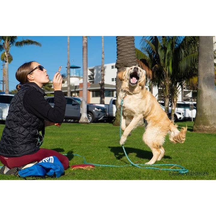 Toysmith - Wholesale Pet Treats - Dog - BubbleLickâ„¢ Pets Peanut Butter Swirl bubbles