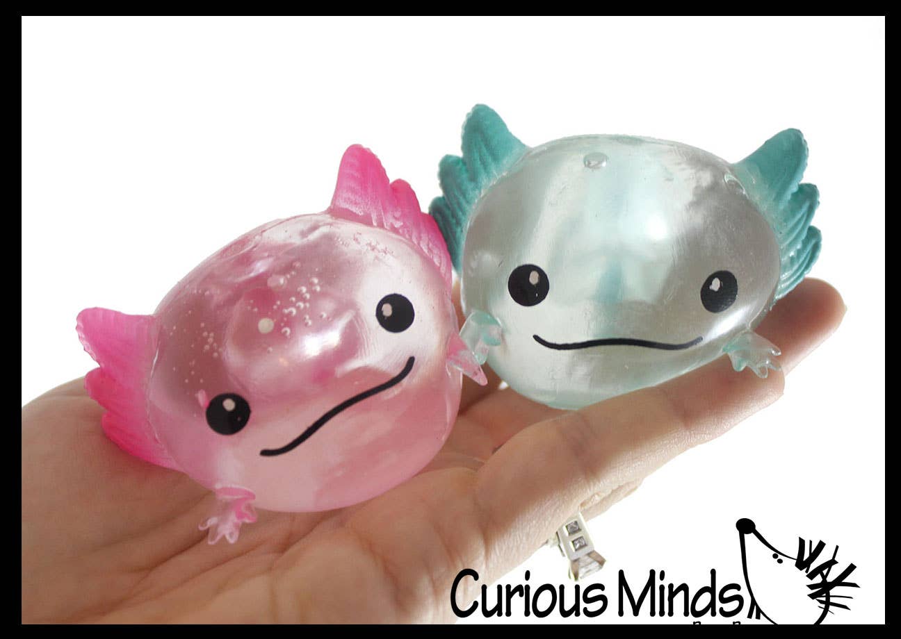 Curious Minds Toys - Wholesale Squishy Toy - Kids & Baby - 1 Axolotl Splat Ball -  Water Filled Splat Stress Ball - Thr10