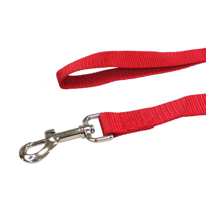 Nylon Dog Leash - Blue, 10 X 1200 MM for wholesale by Croci