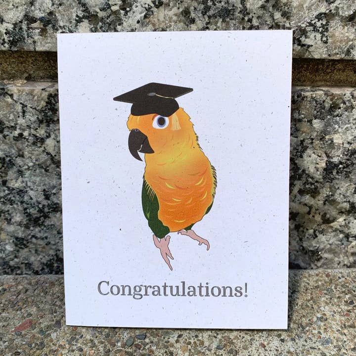 Remise des diplômes - Sun Conure pour la vente par Hakuna Matata Vibes