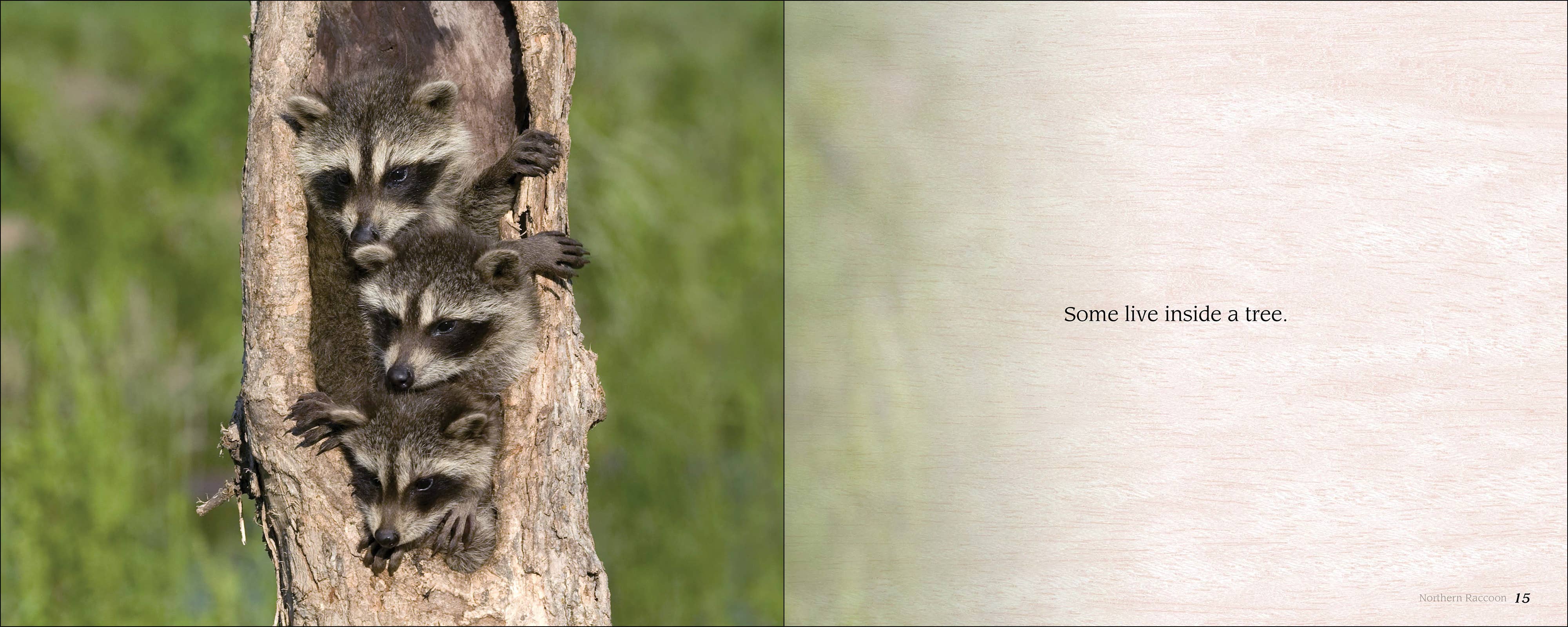 AdventureKEEN - Wholesale Baby & Toddler Book (0-2) - Some Babies Are Wild2