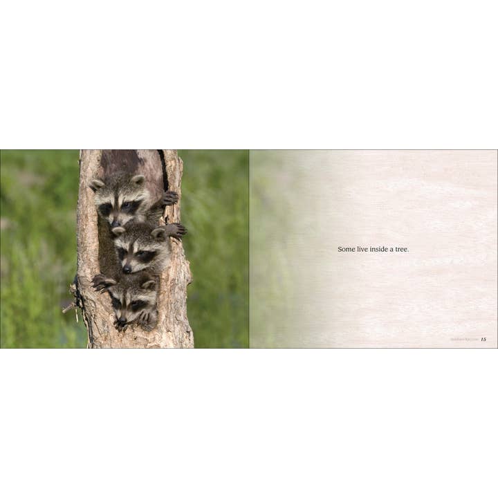 AdventureKEEN - Wholesale Baby & Toddler Book (0-2) - Some Babies Are Wild2