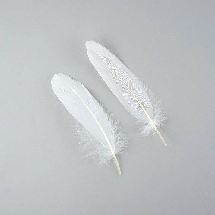 Zucker Feather Products - Wholesale Feathers - Goose Pallet Feathers 6-8" - 12 pc - White1
