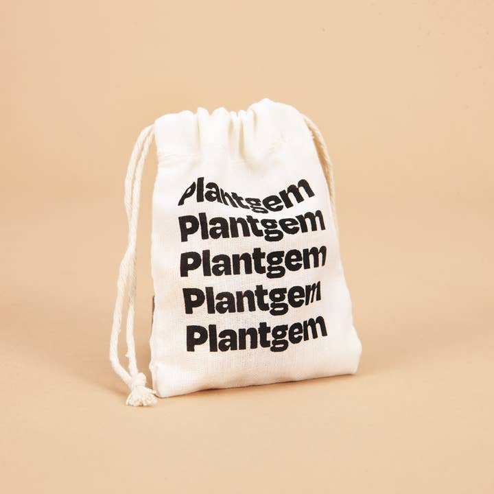 Plantgem - Wholesale Plant Seeds - Anemone Mistral Rarity - 20 corms