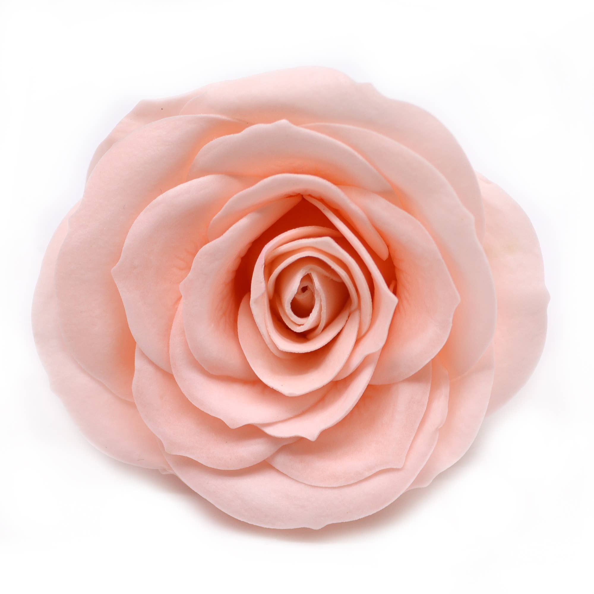 Ancient Wisdom – wholesale Artificial flowers – Lrg (7-Layer) Vintage Rose - Edwardian Blush2
