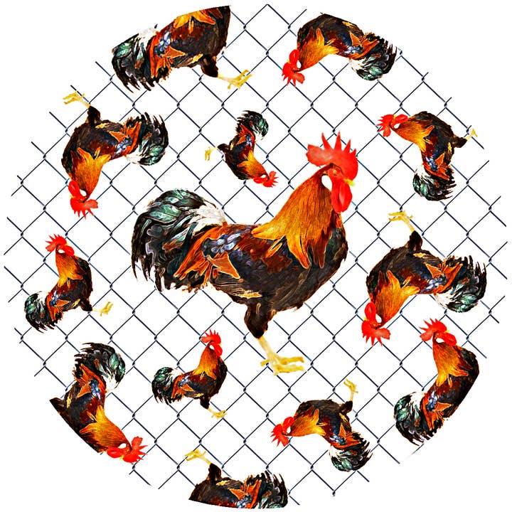 Chickenwire for wholesale by Andreas