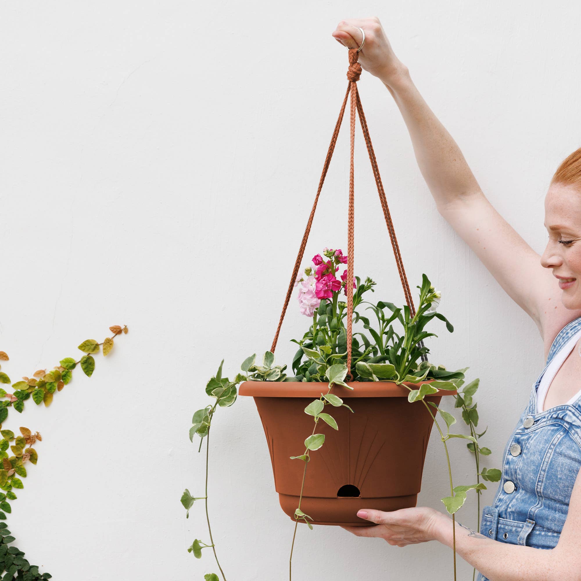 Bloem - Wholesale Hanging Planter - Lucca Self-Watering Plastic Hanging Basket Planter4