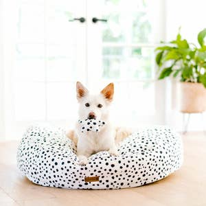 Veehoo Chew Proof Elevated Dog Bed - furniture - by owner - sale