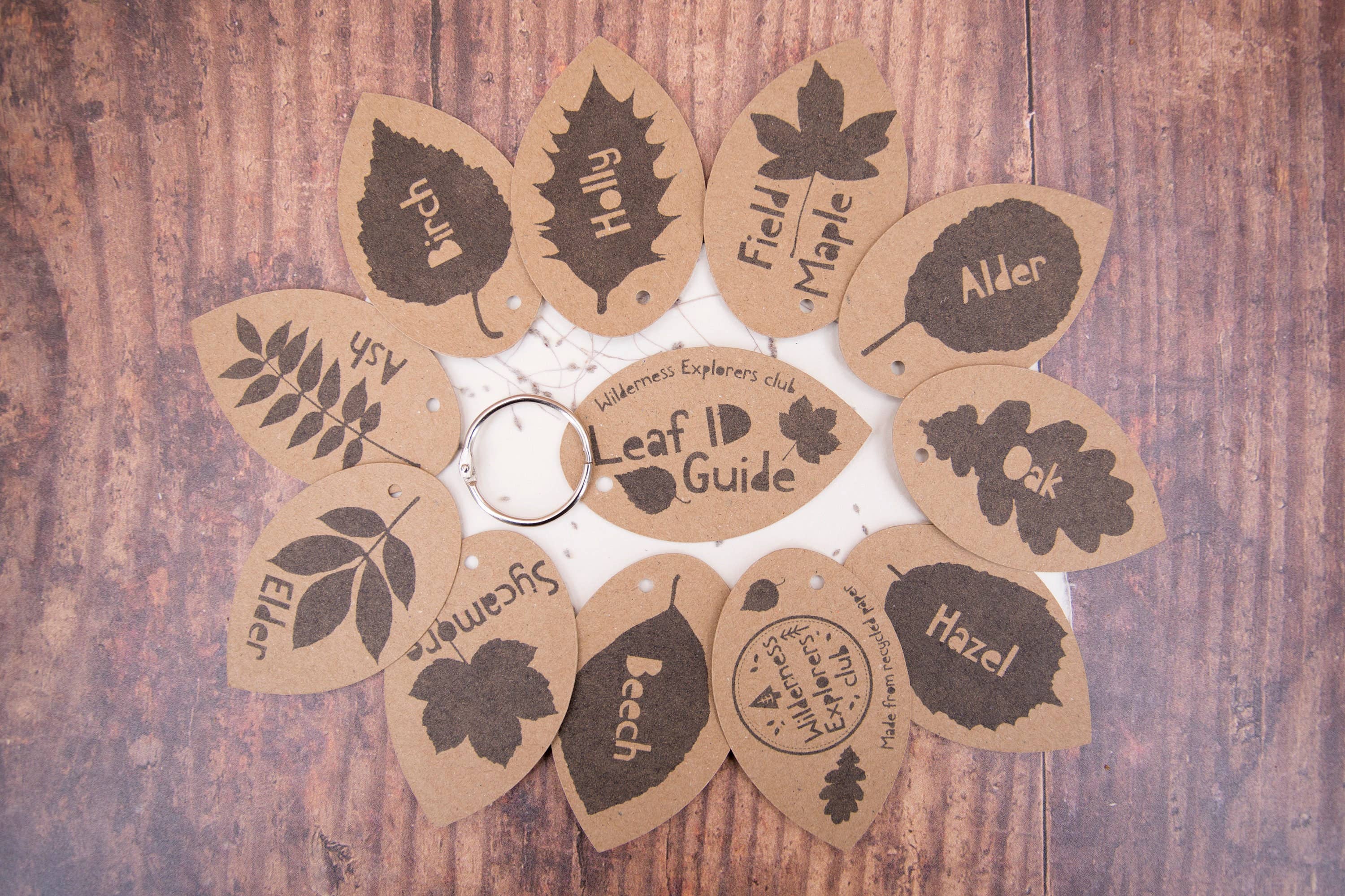 Katy and the Bear - Wholesale Nature & Outdoors - Leaf ID Guide - eco, forest school, child minder1