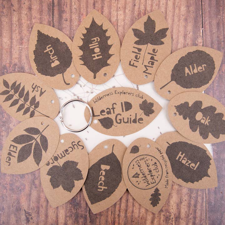 Katy and the Bear - Wholesale Nature & Outdoors - Leaf ID Guide - eco, forest school, child minder1