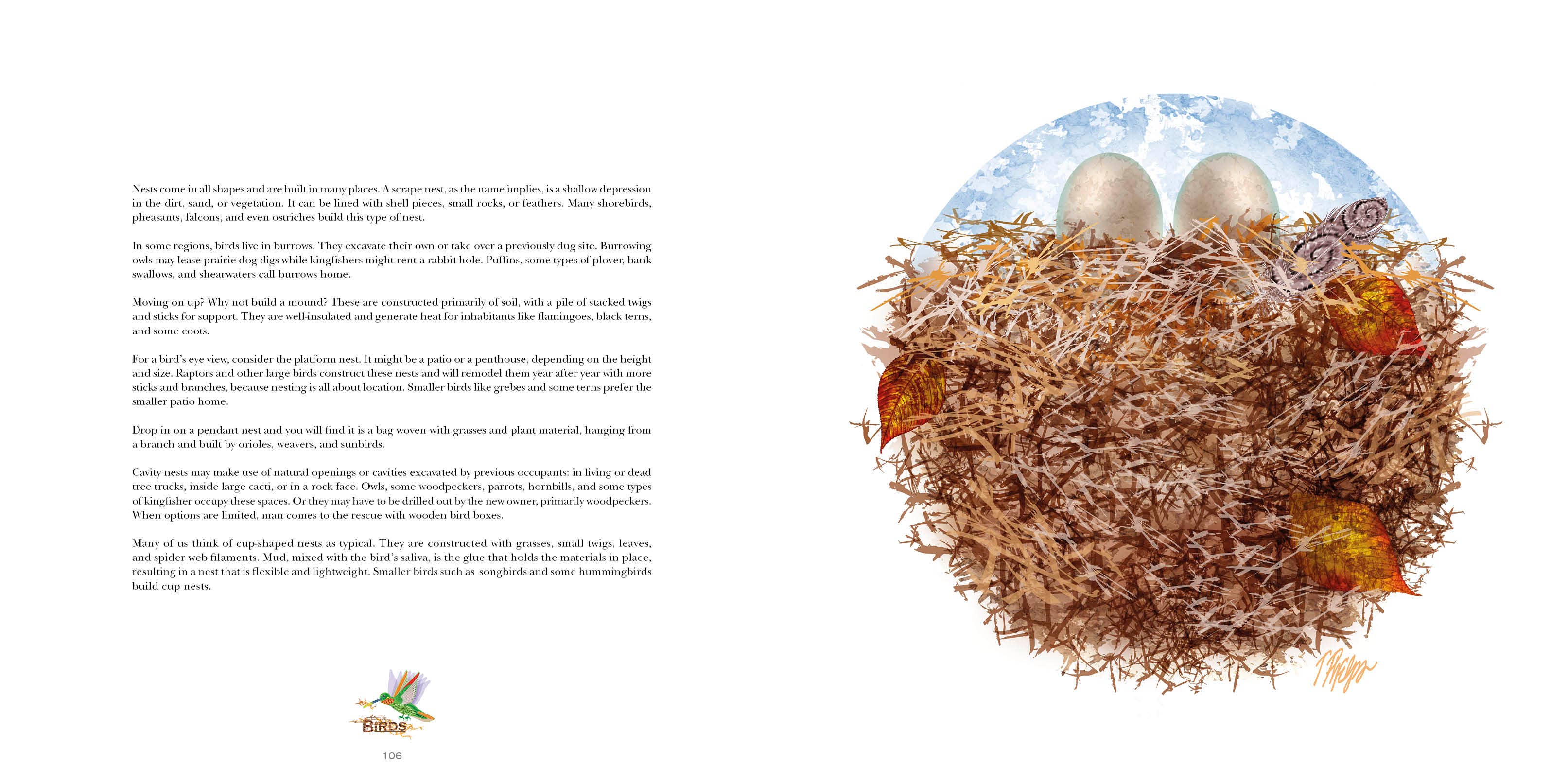 REDFeather - Venta al por mayor Nature & Outdoors - Naturaleza Mandalas Maravillas de la Tierra, Viento y Mar4