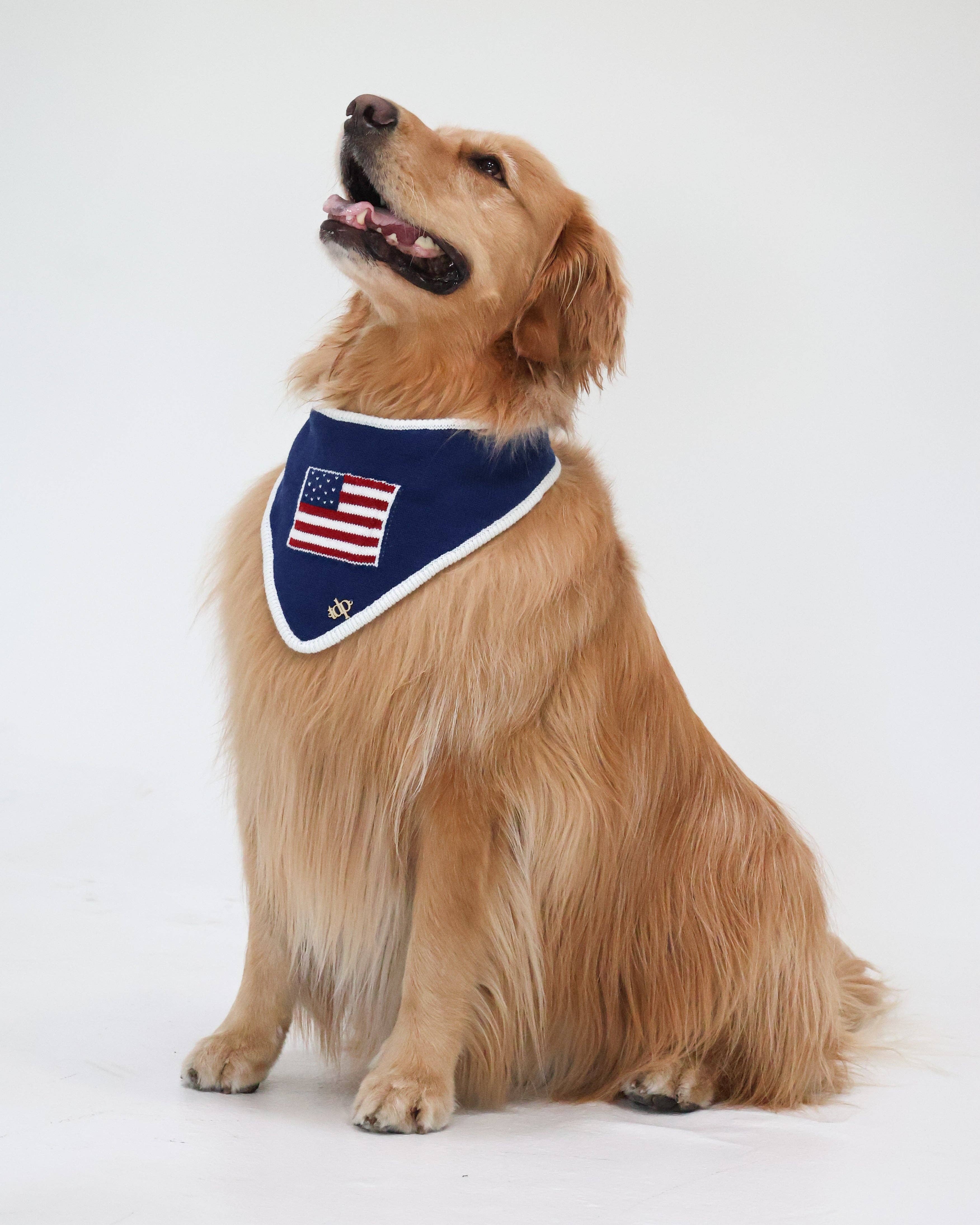 The Deluxe Pup – wholesale Pet bandana – Dog – BANDANA | BENJAMIN ROSS0