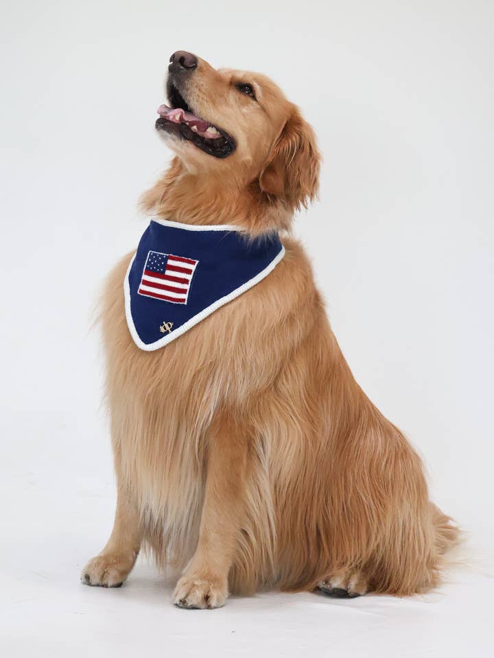 BANDANA | BENJAMIN ROSS for wholesale by The Deluxe Pup