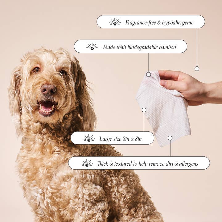 Goldie - Wholesale Pet Grooming Aid - Dog - So Fresh, So Clean Probiotic Wipes2