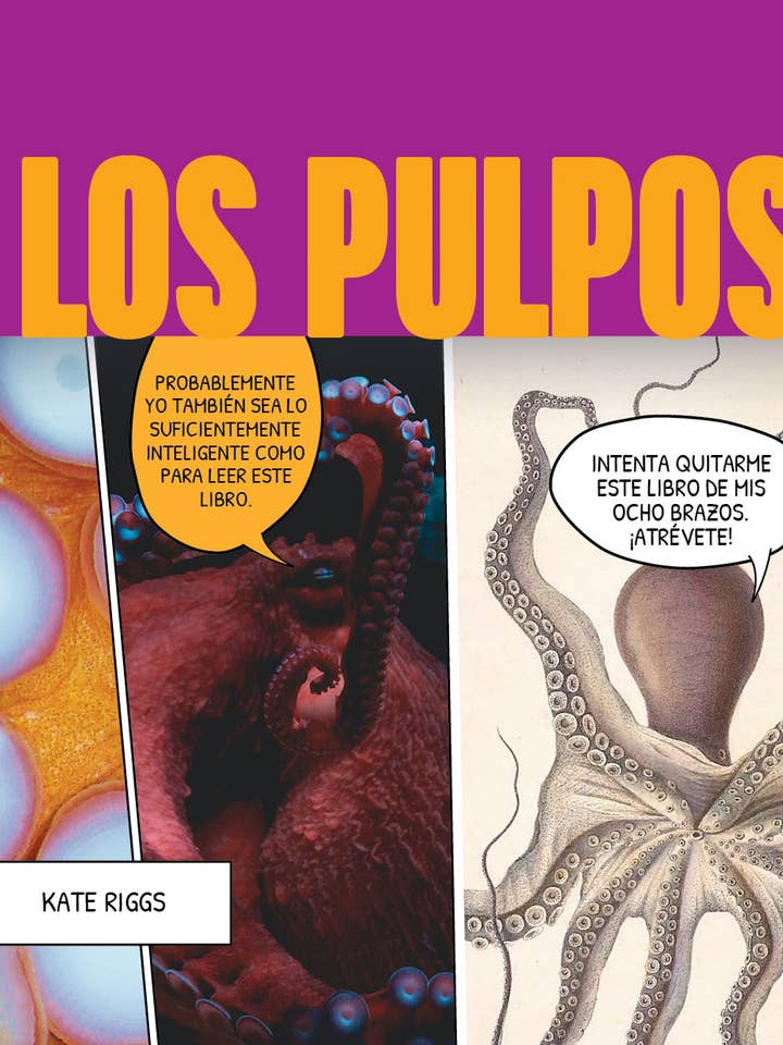 Bläckfiskarna för wholesale av The Creative Company