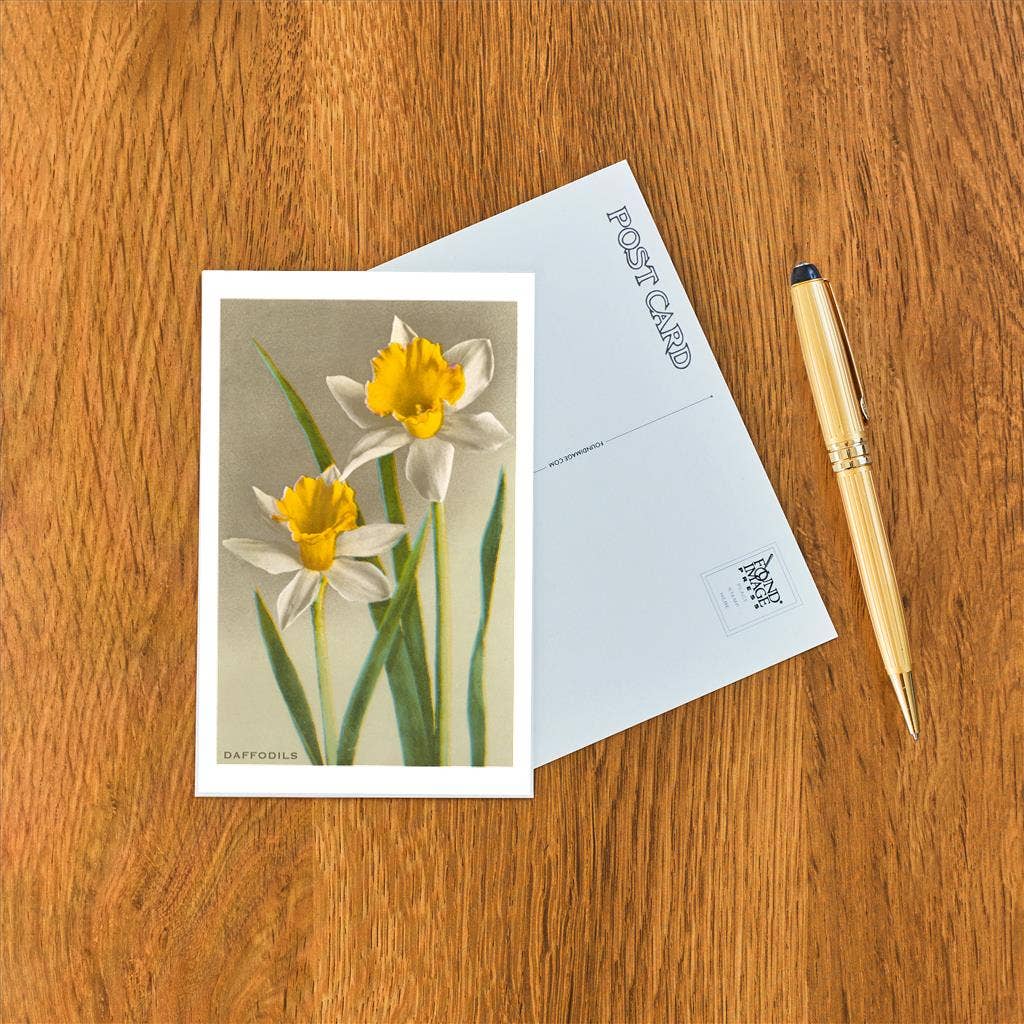 Found Image Press - Wholesale Postcard - Postcard FC-34 Daffodils1