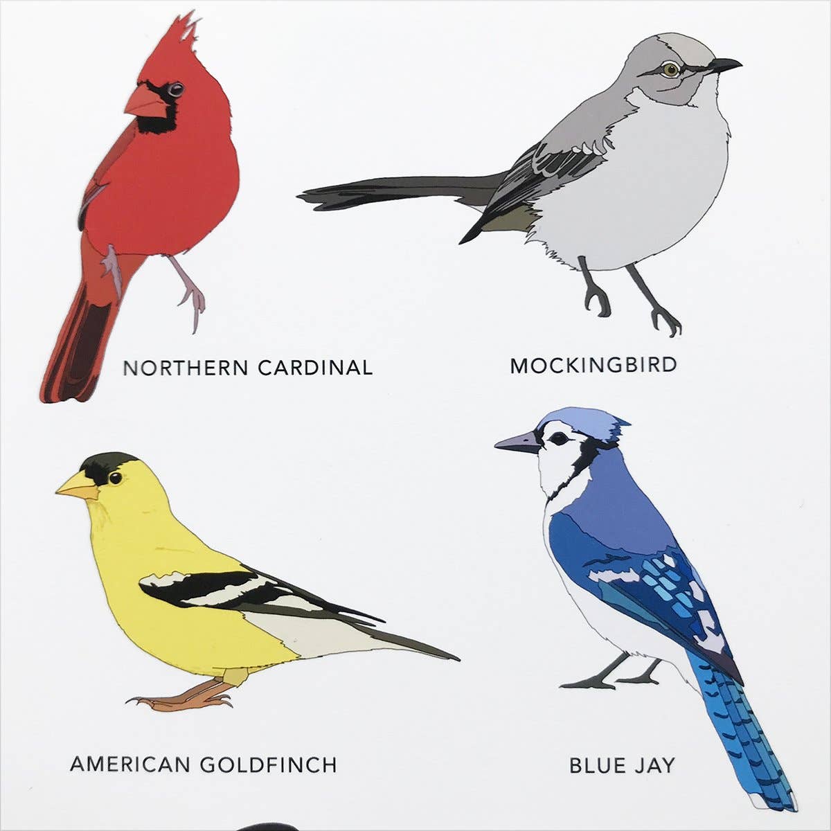 Kate Broughton – wholesale Art print – Birds of North America Print3