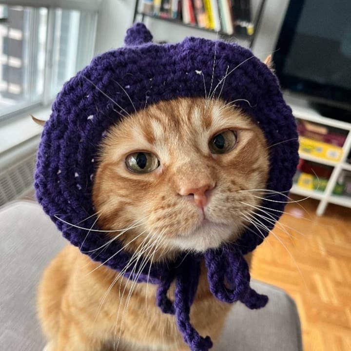 Glitter Ghost Clothing and Accessories – chapéu - Cão por atacado – Chapéu Crochet Brilha - Chapéu de Gato - Chapéu de Pet3