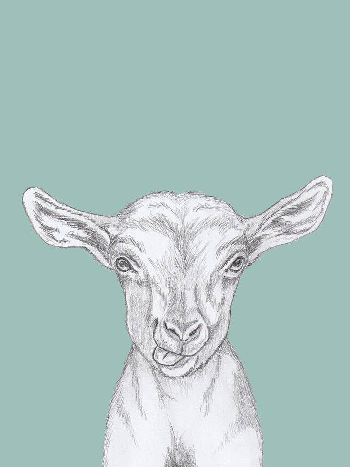 Kid Goat for wholesale by I AM NIEN