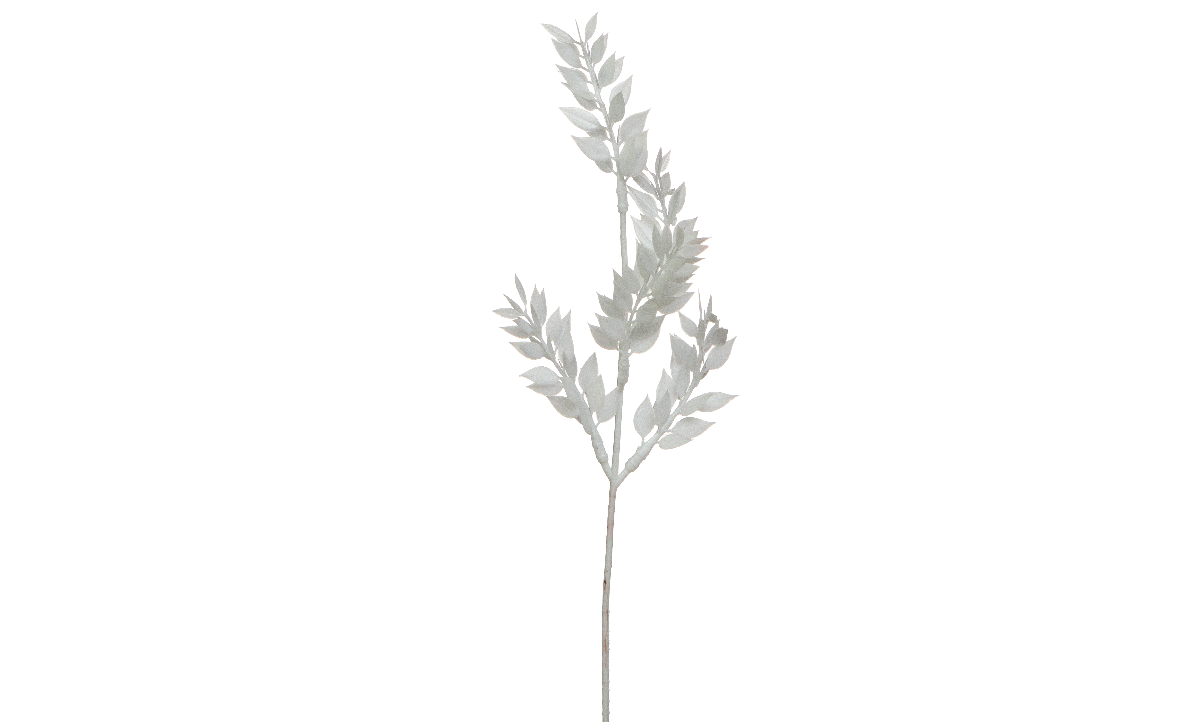 Jacobson - Wholesale Artificial Plant - 14"L Plastic Ruscus Spray1