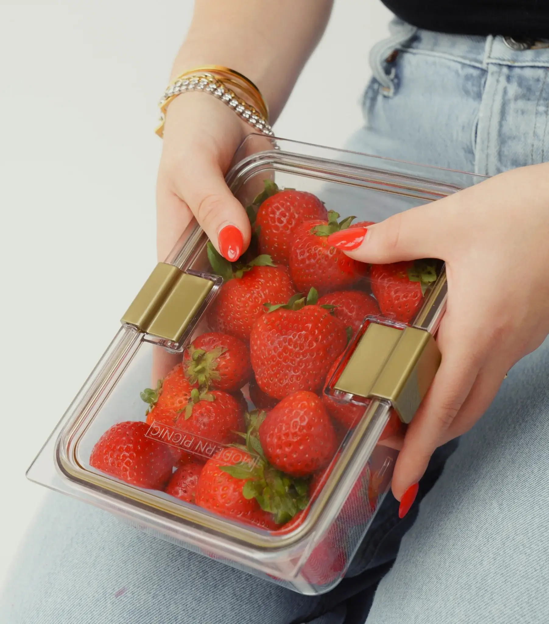 Modern Picnic – Großhandel Lebensmittelbehälter – 10-teiliges Set wiederverwendbarer Lebensmittelbehälter – Das ULTIMATIVE Meal-Prep-Set2