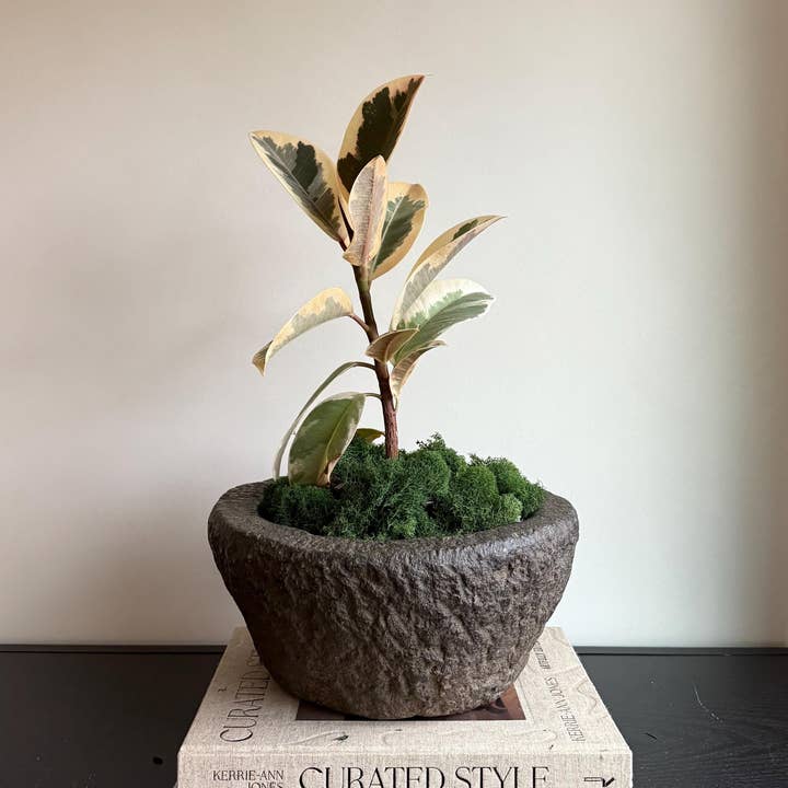 Antique Heavy Stone Mortar Planter | Vintage Hand-Carved Limestone Bowl for wholesale by Project Kalaa