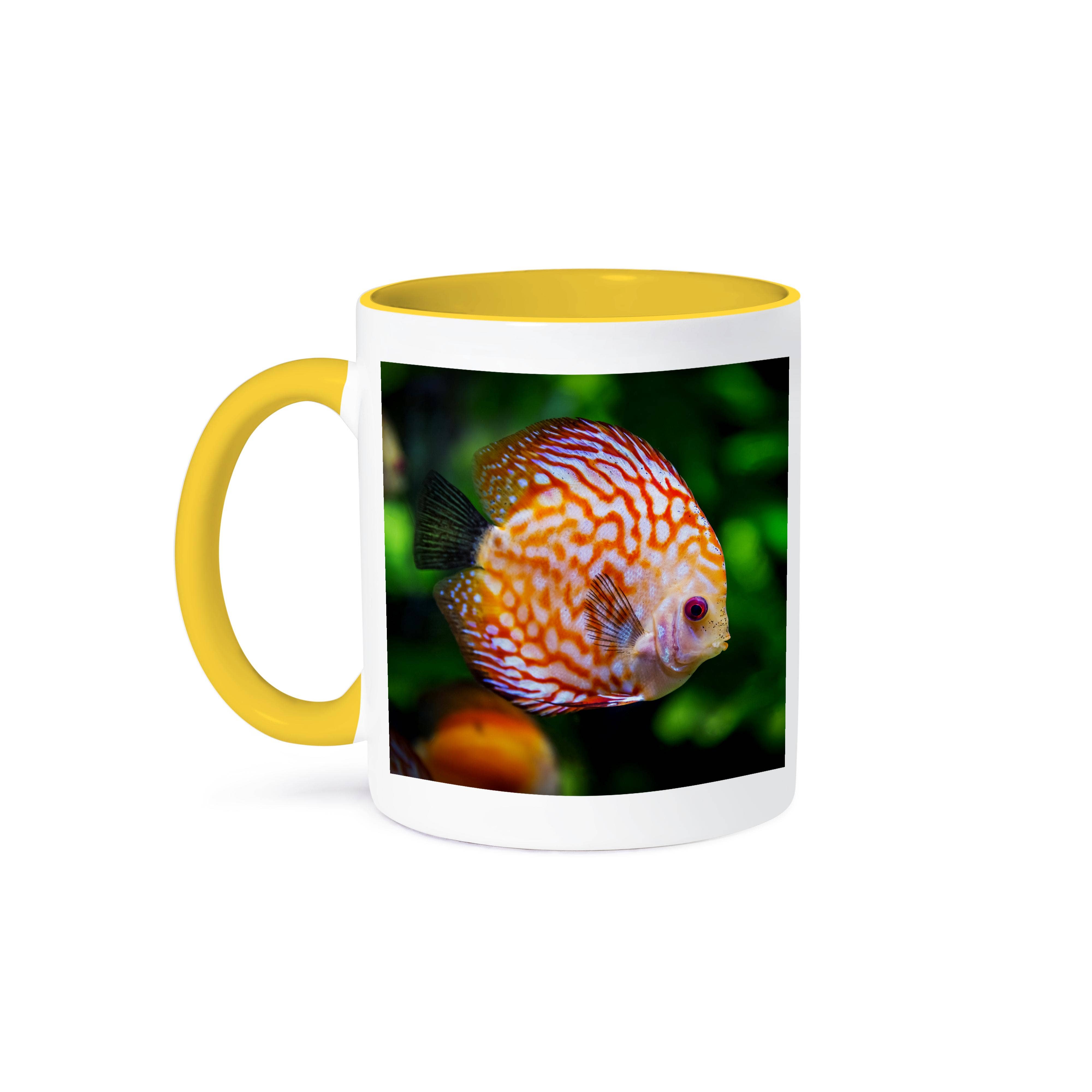 3dRose - Vente Tasse à café - 3dRose, Poisson-Discus Coloré Nageant Dans Un Étang À Poissons Animal Poisson, Tasse0
