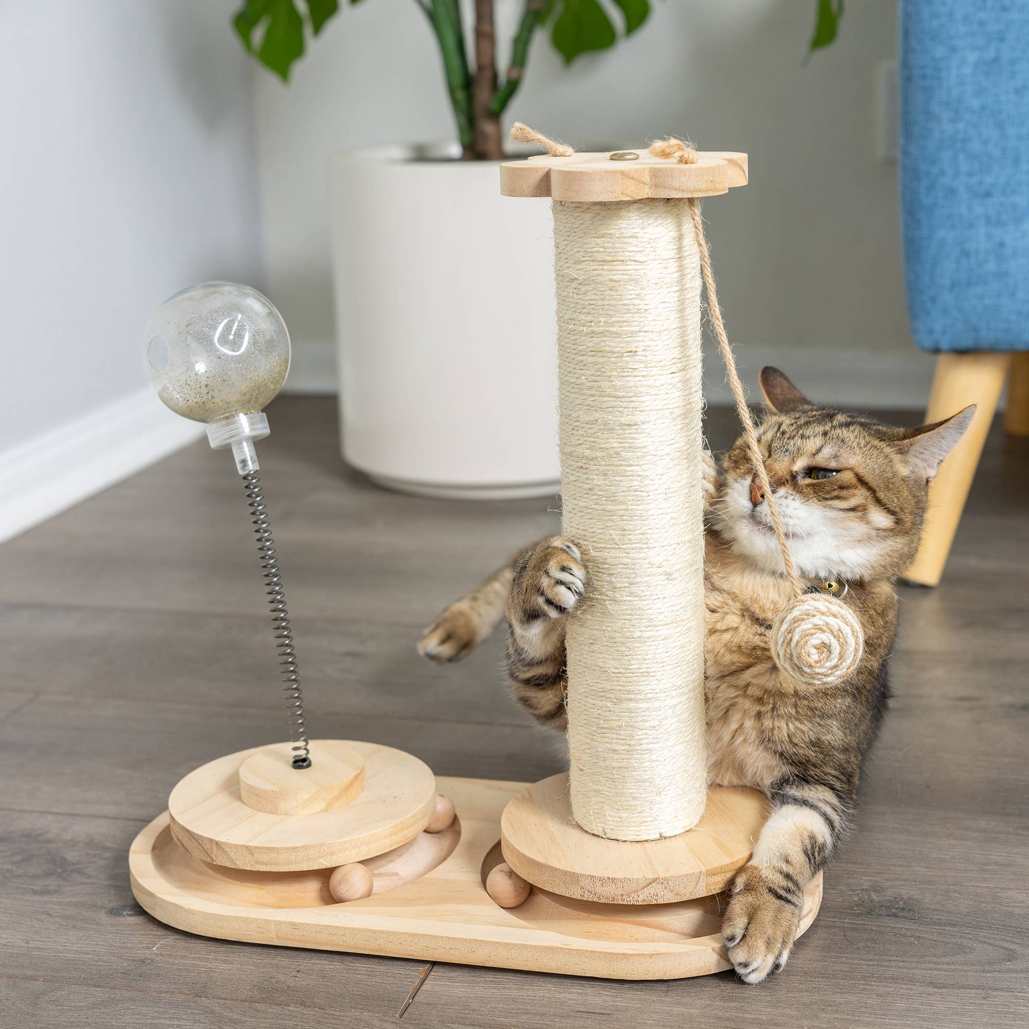 Armarkat - Wholesale Pet Scratcher - Cat - Interactive Scratch Post and Activity Center -- The Ultimate7