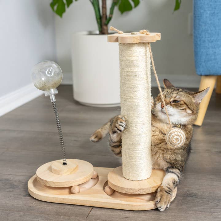 Armarkat - Wholesale Pet Scratcher - Cat - Interactive Scratch Post and Activity Center -- The Ultimate7