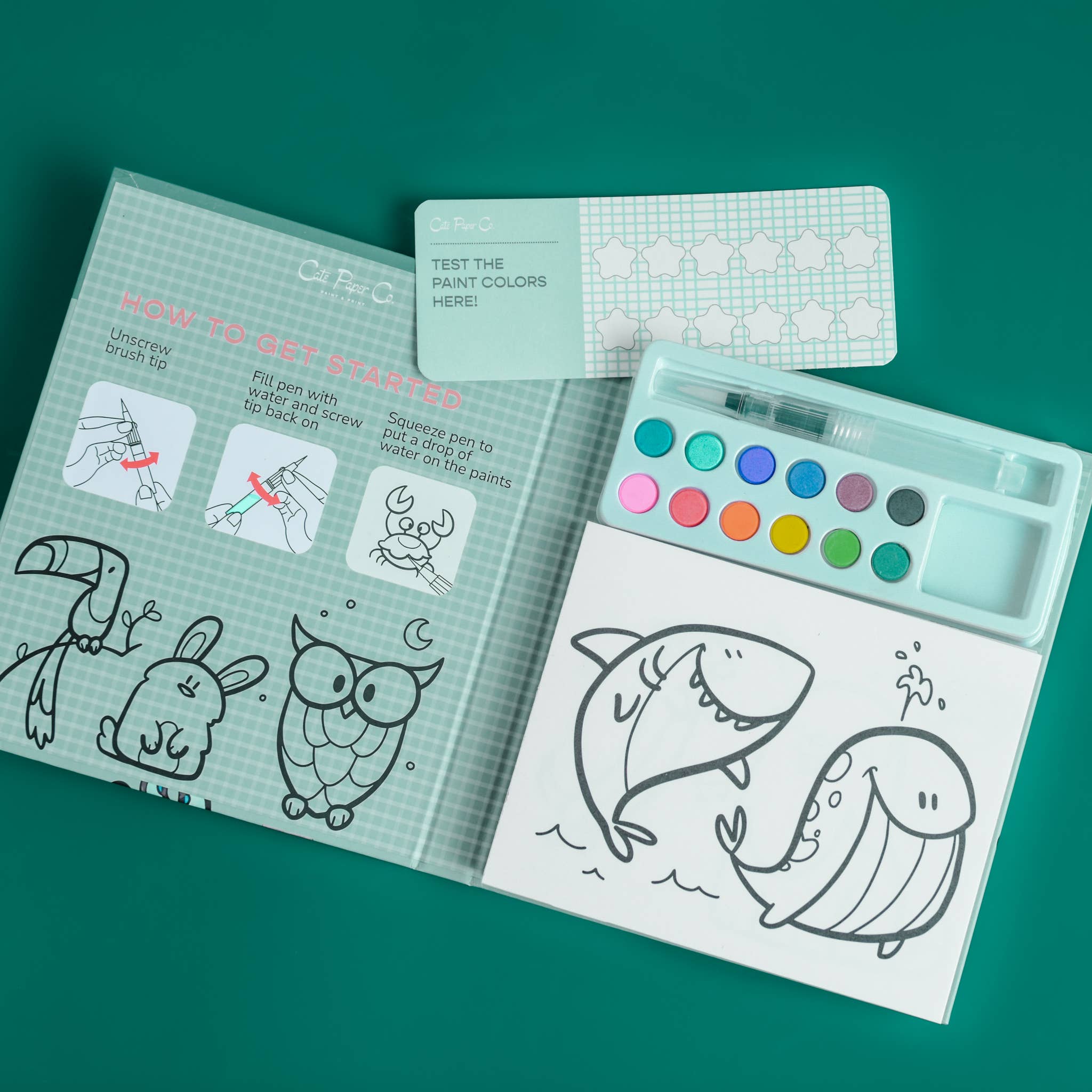 Cate Paper Co. - Venta al por mayor Acuarelas - Libro y Set de Pintura Acuarela - Reino Animal1