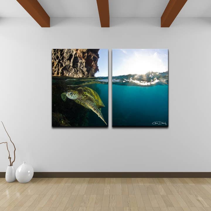 Christopher Doherty 'Sea Turtle' Canvas Wall Art (2 Piece) for wholesale by Ready2hangart, Inc.