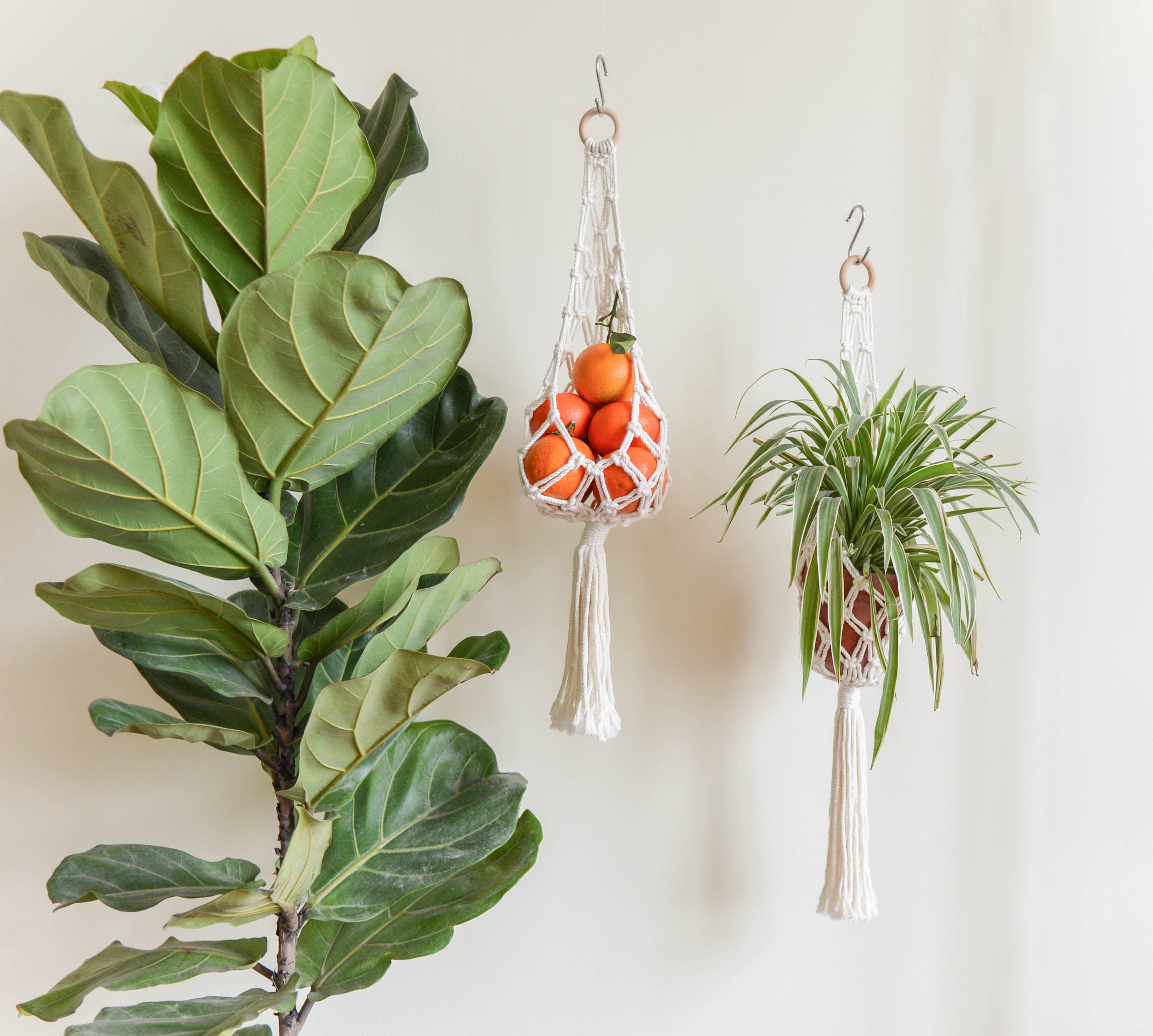 BeanDaikon - Wholesale Hanging planter - Macrame Hanging Basket H108