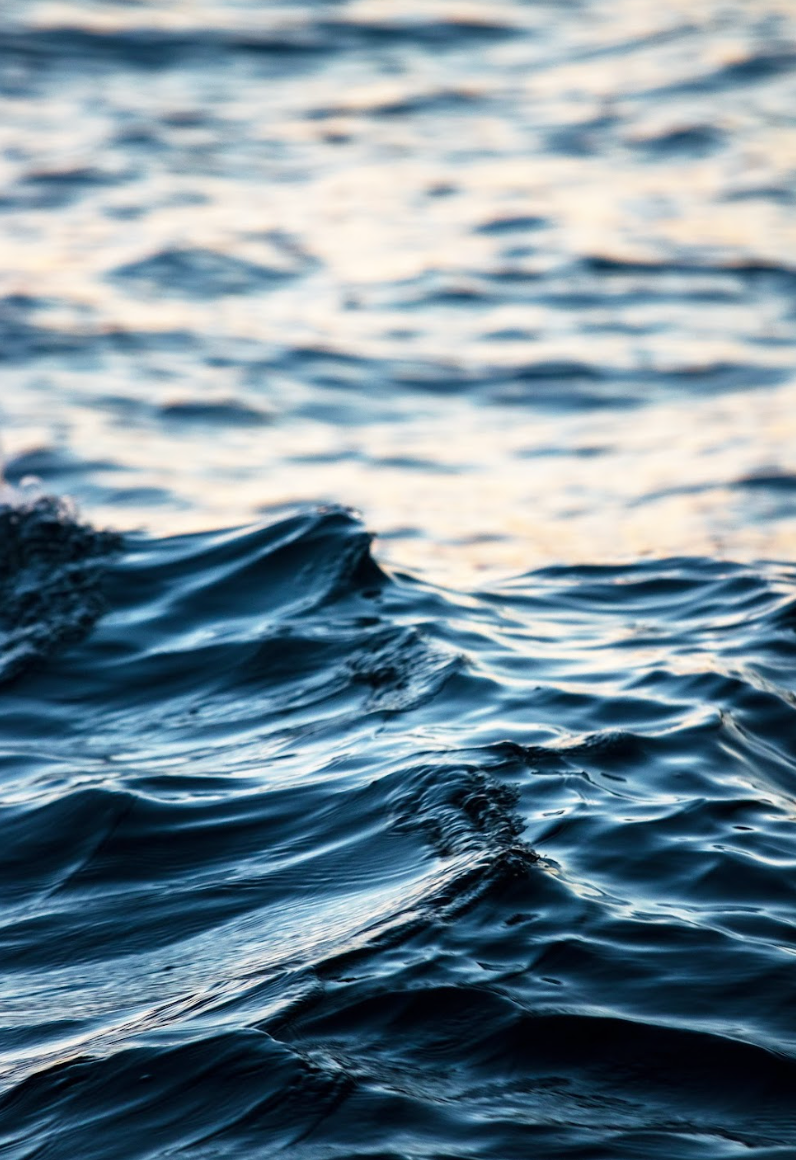 NUENCE MTC - Wholesale Oral Supplement/Vitamin - COMPLÉMENT ALIMENTAIRE ANTI-ÂGE - L'EAU6