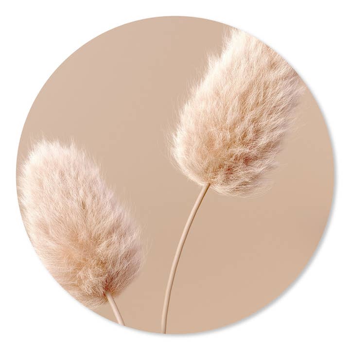 Wall Circle Hare's Tail para venta al por mayor de GM decoratie