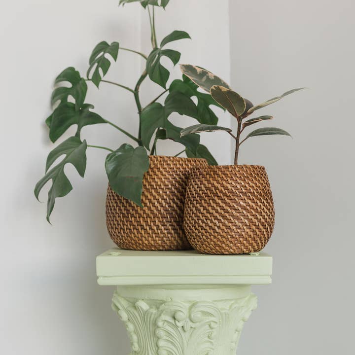 Viridi - Wholesale Plant Pot - Olla Rattan Planter Set of 22