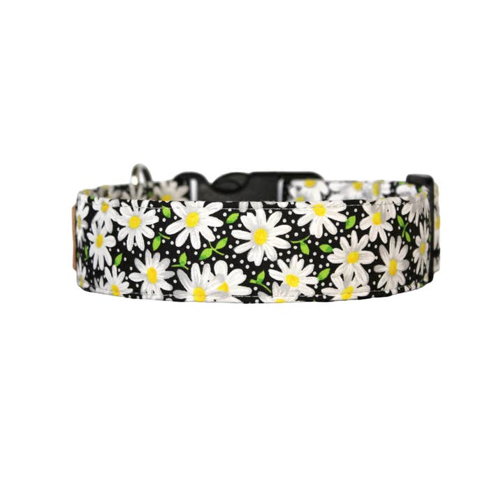Cute 90s theme daisy dog collar - The Daisy Chain for wholesale by Paper Chasing Collars Dog Accessories