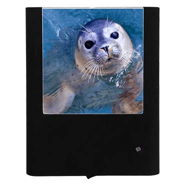 Nightlight Studio - Wholesale Night Light - Seal