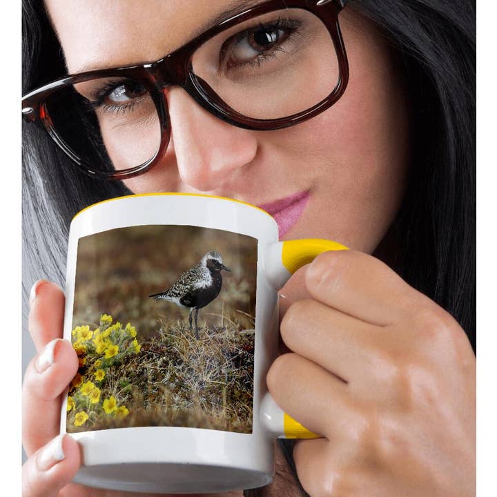3dRose - Wholesale Coffee Mug - 3dRose, Black-bellied plover, Arctic tundra nesting habitat, Mug1