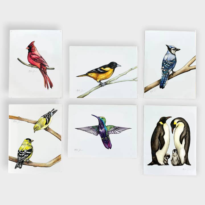 Birds A2 Notecard Set of 6 for wholesale by Elena Johnson Art