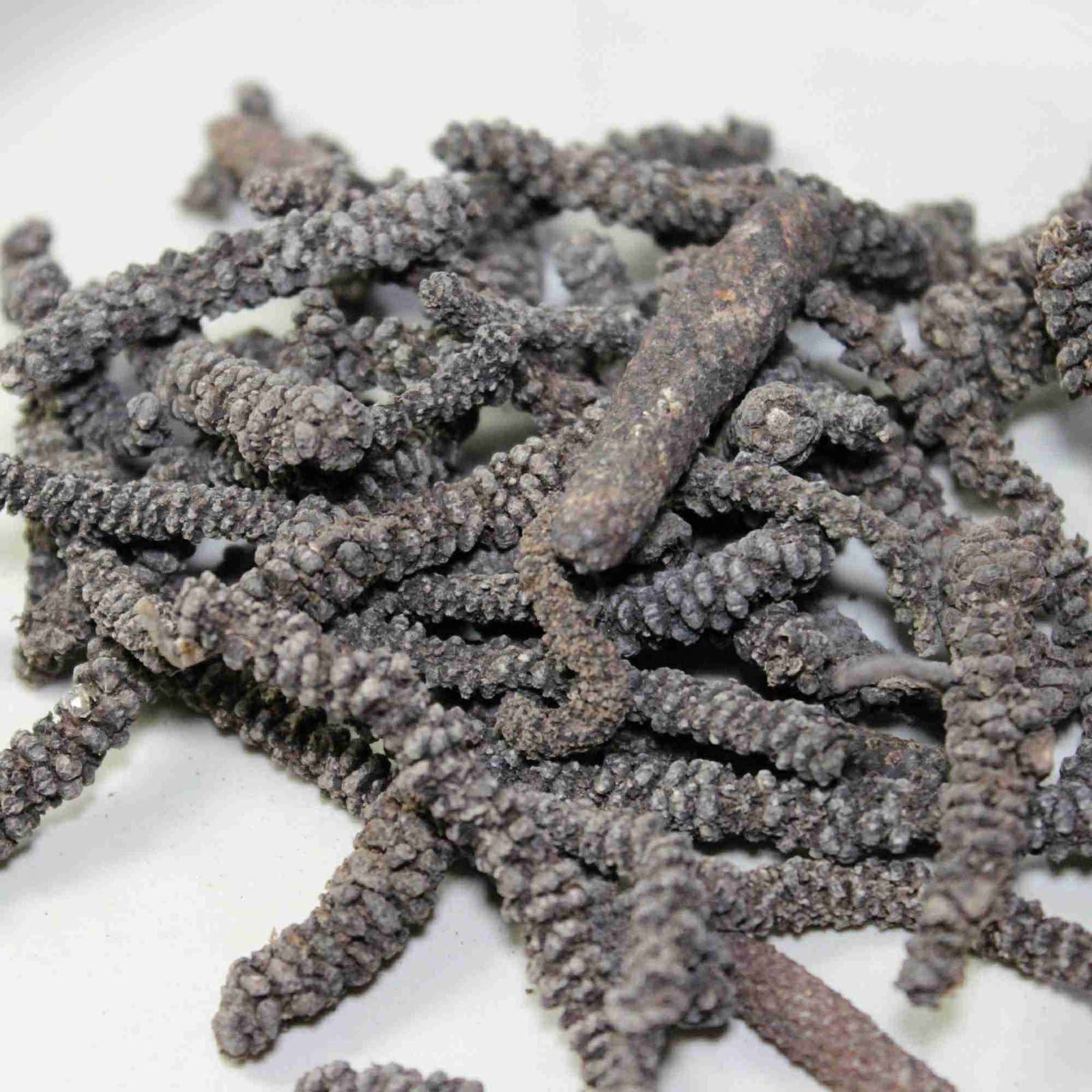 Les Epices Curieuses - Wholesale Dried Spice Mix - African long pepper - Timiz1