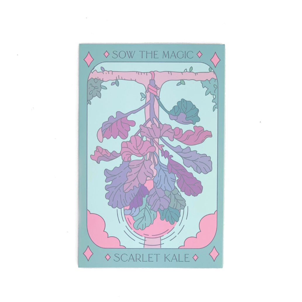 Sow the Magic – Engroshandel Plantefrø – Scarlet Kale Tarot Frøpakke3