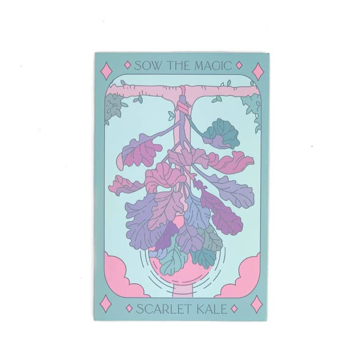 Sow the Magic - Wholesale Zaadjes voor platten - Scarlet Kale Tarot Zaadpakket3